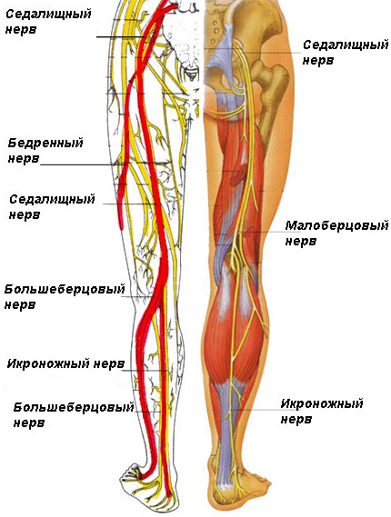 Диагностика болей в ногах